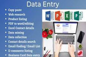 Portfolio for Data Entry