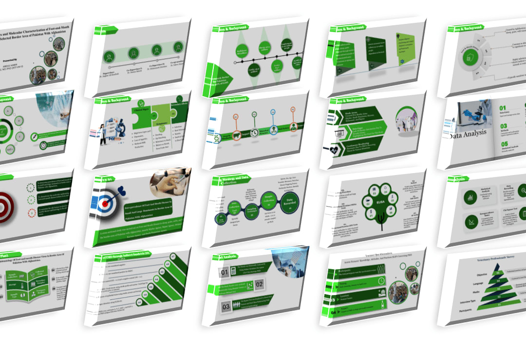 Portfolio for Professional Presentation Design Service