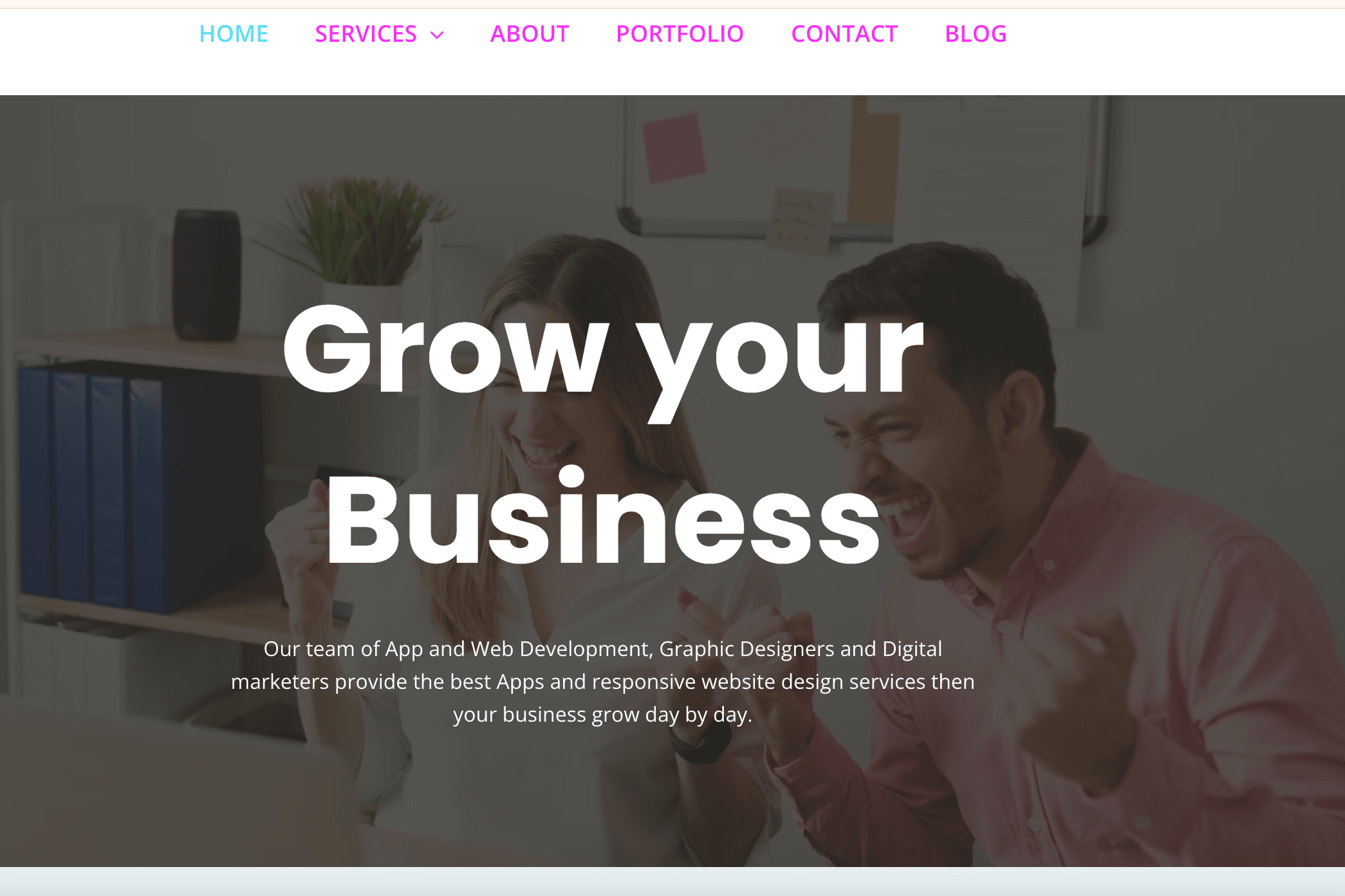 Portfolio for Website Development Service