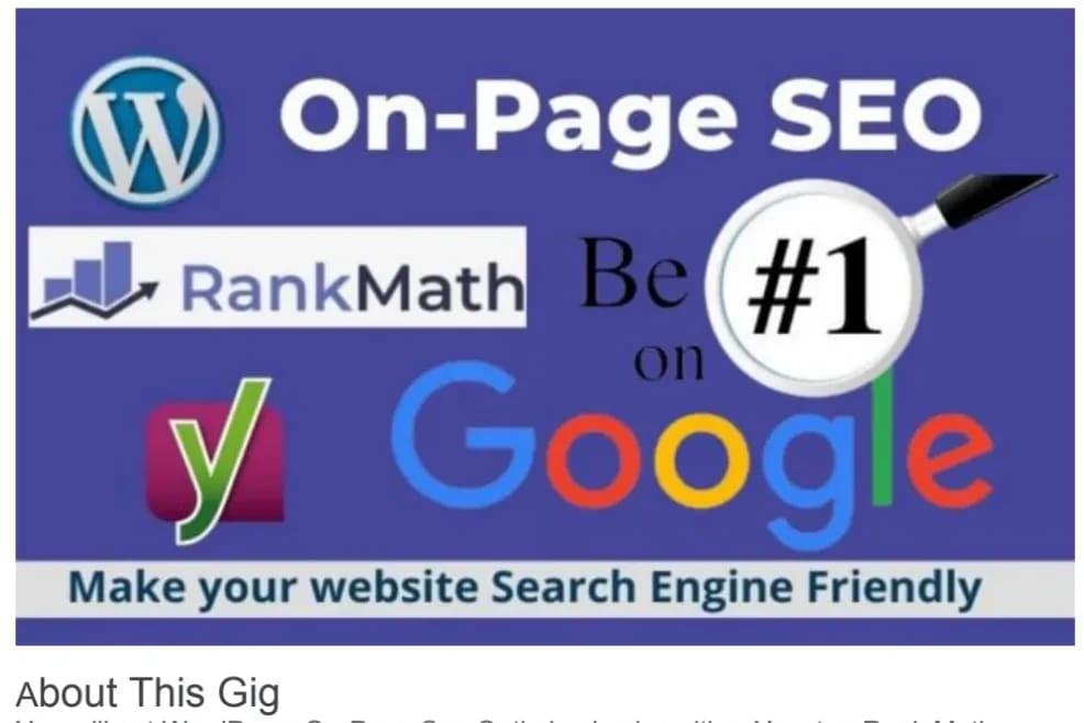 Portfolio for SEO Expert