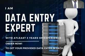 Portfolio for Data Manager