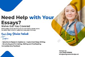 Portfolio for Essay Help
