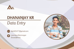 Portfolio for Data Entry