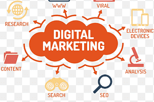 Portfolio for Digital Media Marketing