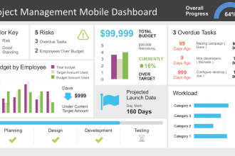 Portfolio for Dashboards