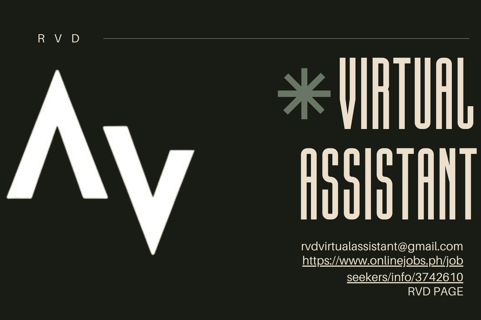 Portfolio for VA l SMM l Lead Generation Specialist