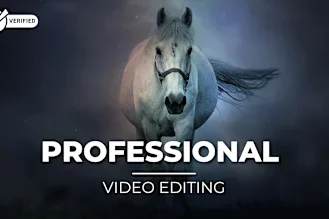 Portfolio for Social Media Videos