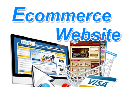 Portfolio for E-commerce  Website