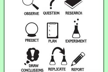 Portfolio for Research and projects writing