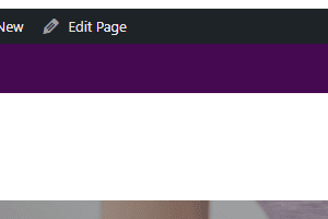Portfolio for Seo Service