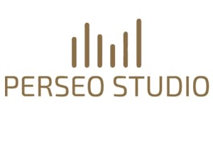 Portfolio for SEO Services