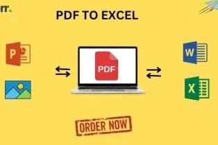 Portfolio for Covert PDF to MS Excel