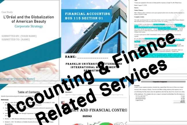 Portfolio for Accounting & Finance