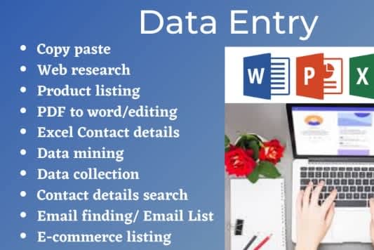 Portfolio for Data Entry
