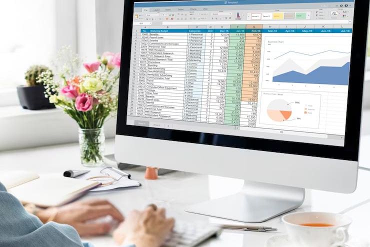 Portfolio for Data Entry