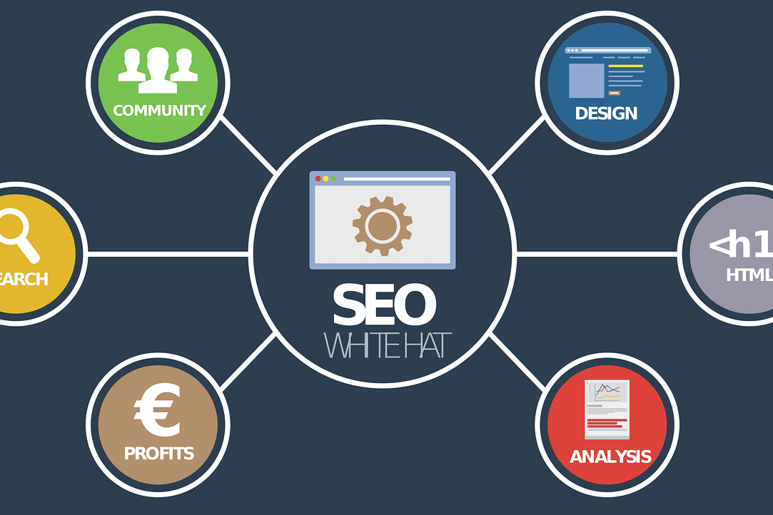 Portfolio for "Expert SEO Services | On-Page, Off-Page