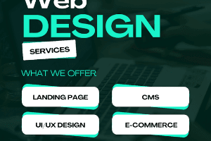 Portfolio for Shopify developer