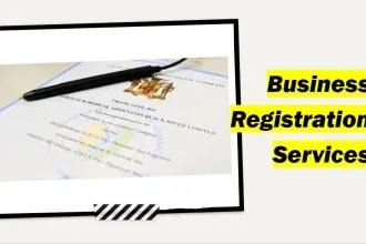 Portfolio for Business Registration
