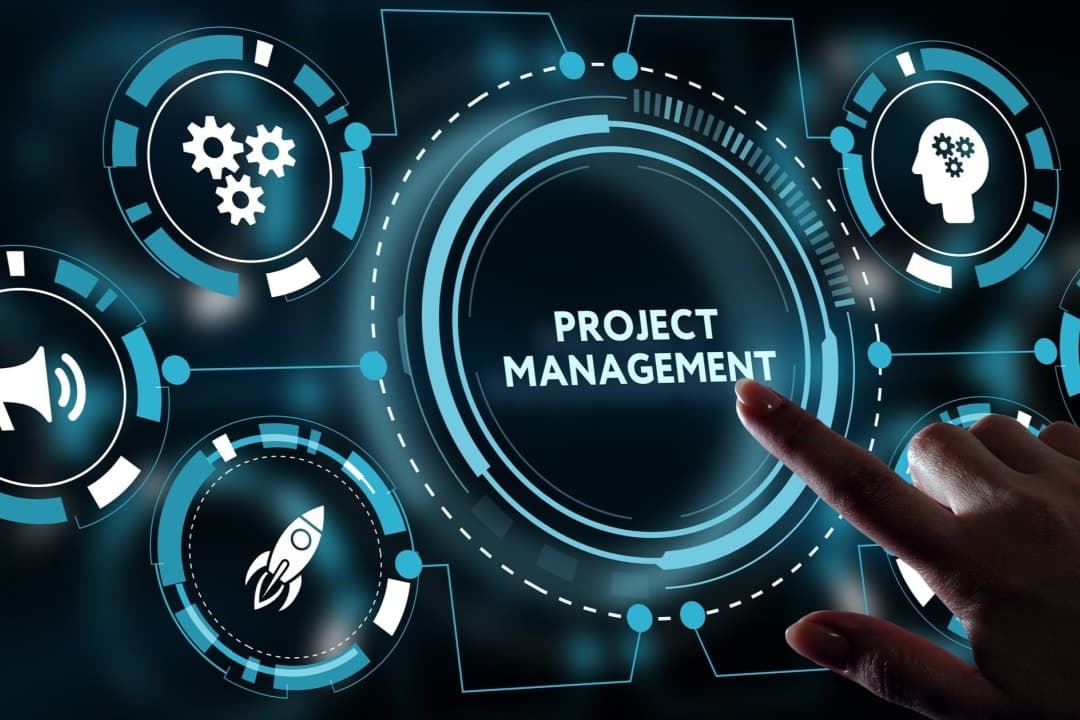 Portfolio for Project Management