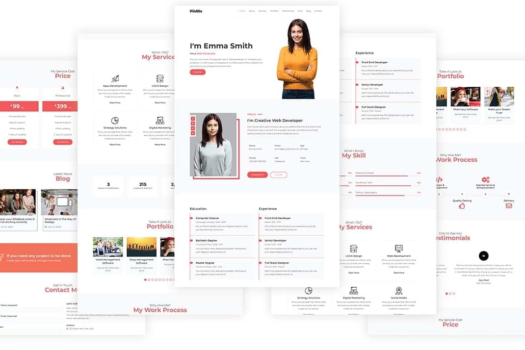 Portfolio for Do any task in Wordpress Website