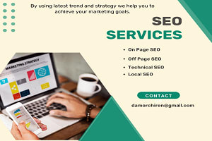 Portfolio for SEO Service