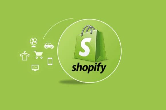 Portfolio for Shopify   website development