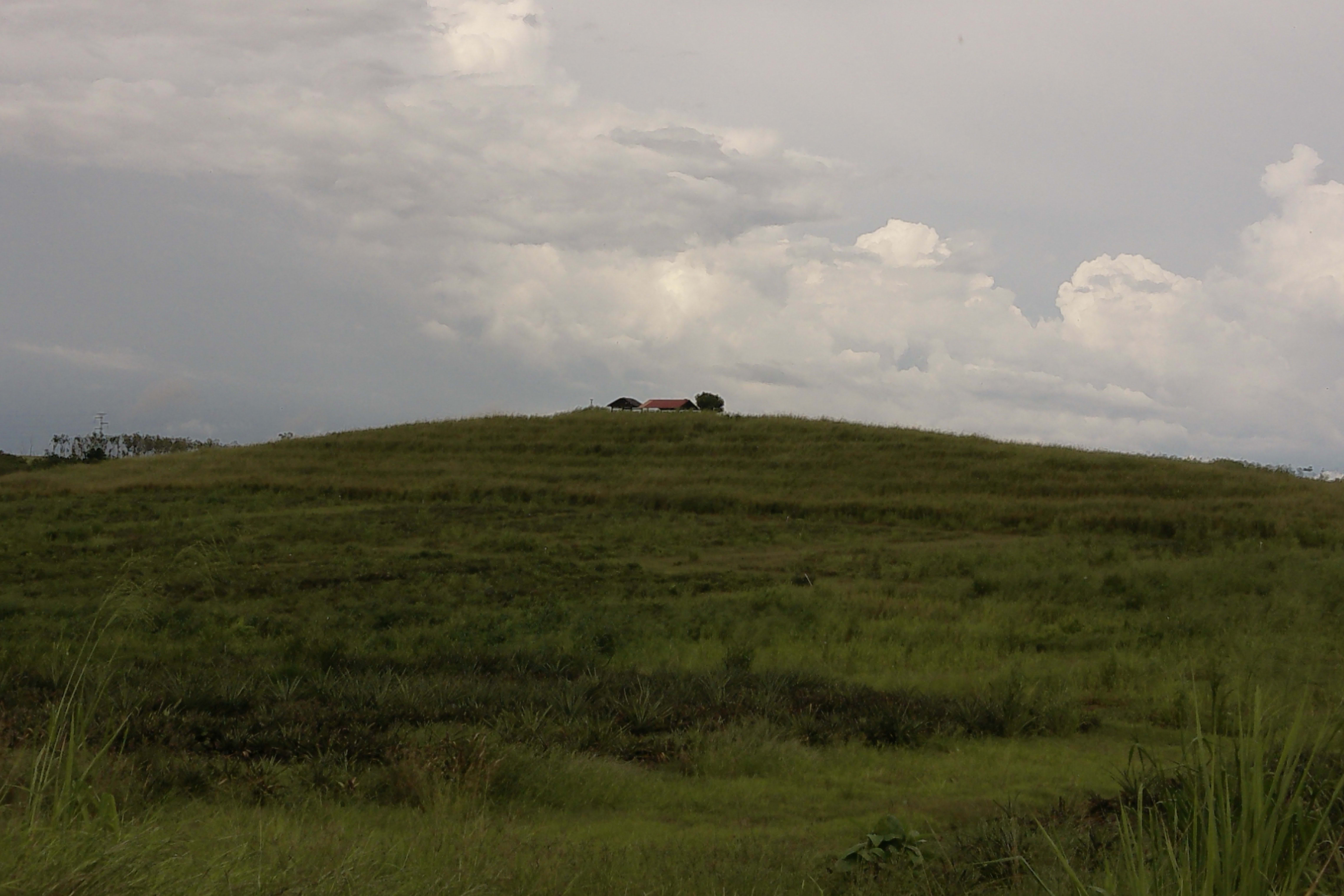 Portfolio for Translation & Editing