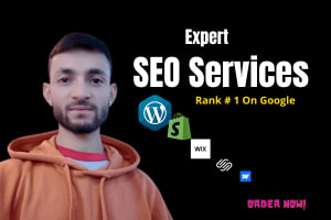 Portfolio for Search Engine Optimization (SEO)