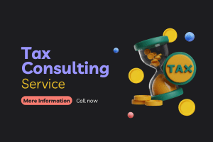 Portfolio for Tax and Accounting Consultant