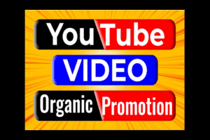 Portfolio for Will do organic YouTube video promotion