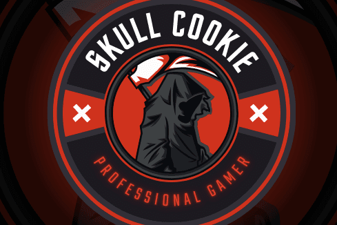 Portfolio for Professional Logo Designer