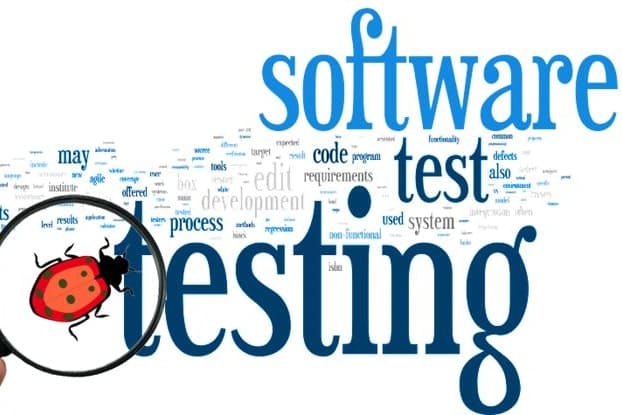 Portfolio for Software Testing