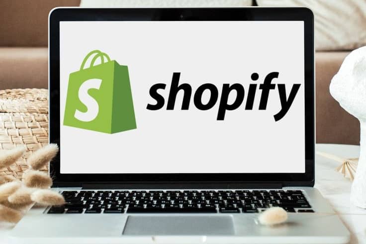 Portfolio for Shopify Expert
