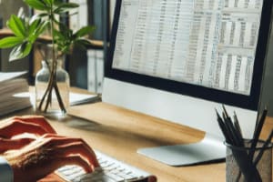 Portfolio for Data entry