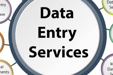 Portfolio for Data entry