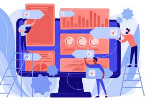 Portfolio for data entry