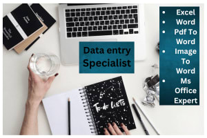 Portfolio for Data Entry