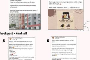 Portfolio for Canva| Data entry| Facebook marketing