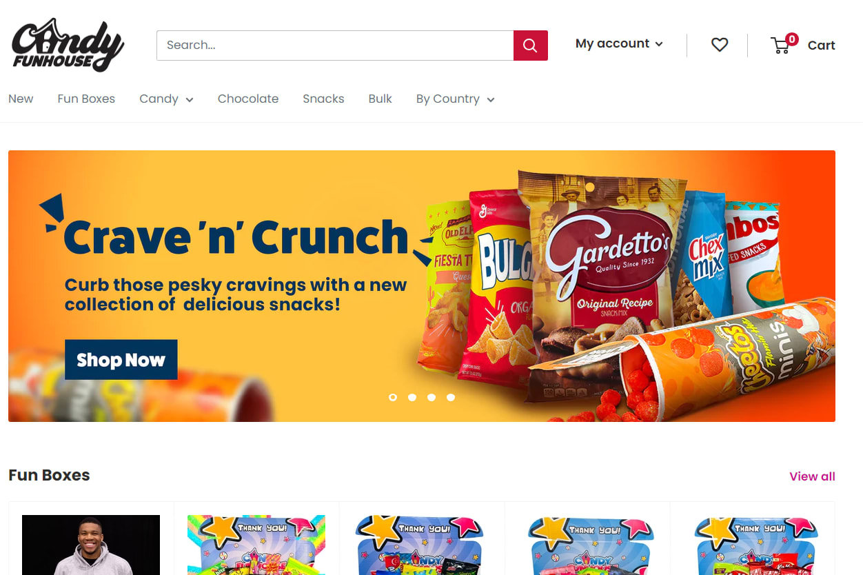 Portfolio for Shopify Website Development