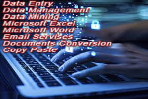 Portfolio for Data Entry