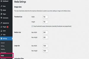 Portfolio for WordPress Development