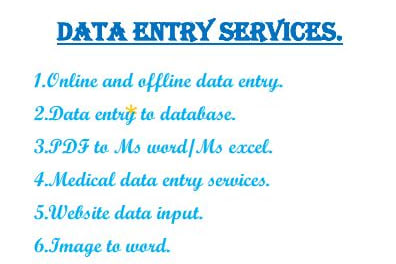 Portfolio for Data entry
