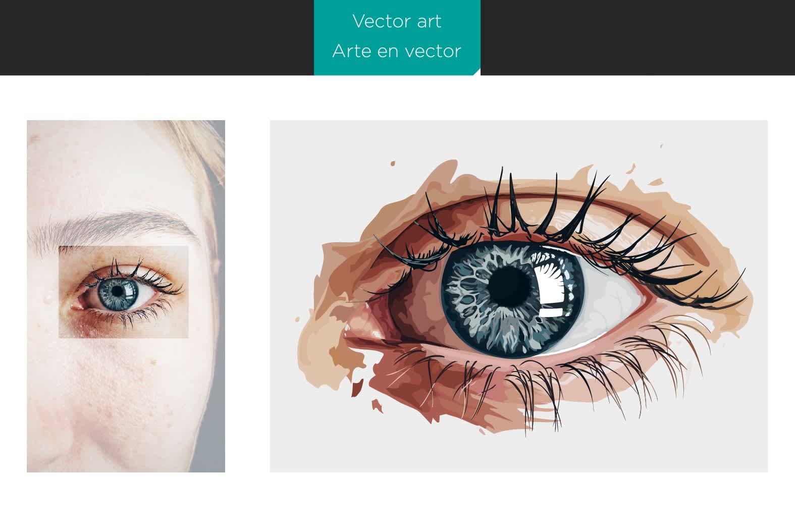 Portfolio for Vector Illustration and Image Tracing