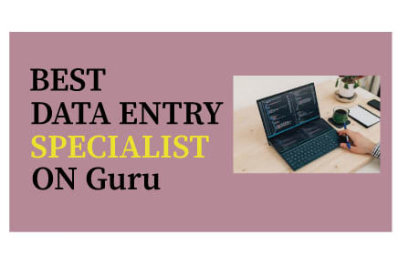 Portfolio for Data Entry