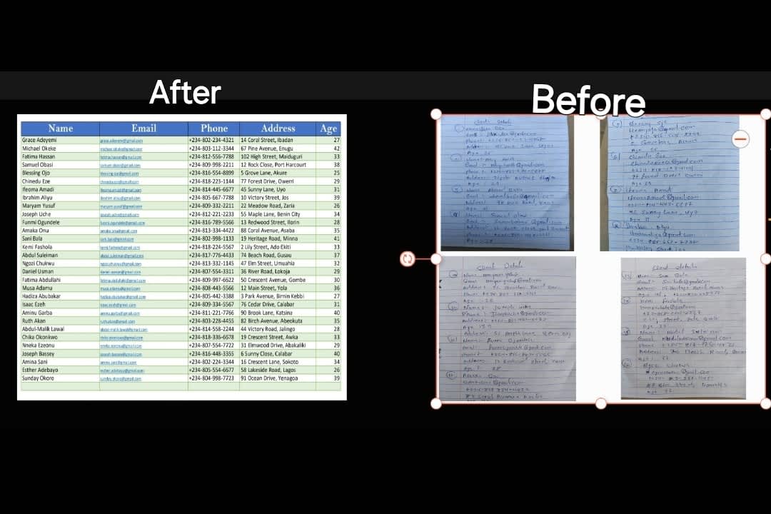 Portfolio for Data Entry Guru | Microsoft Excel Expert
