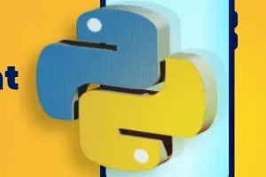 Portfolio for python app development