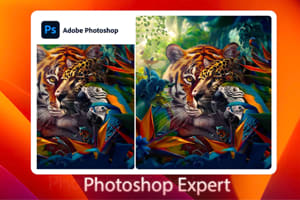 Portfolio for Graphic Designer