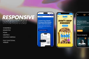 Portfolio for I will create responsive wordpress web