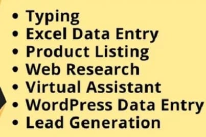 Portfolio for Data Entry