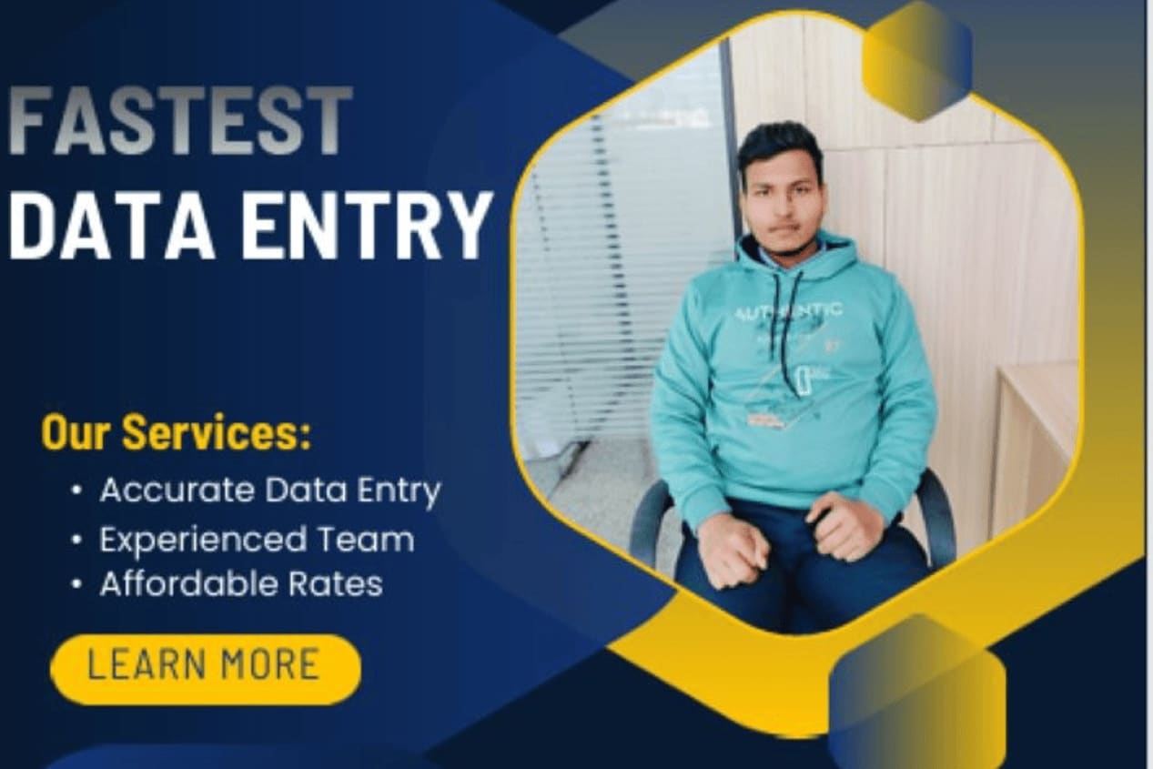 Portfolio for Data entry excel